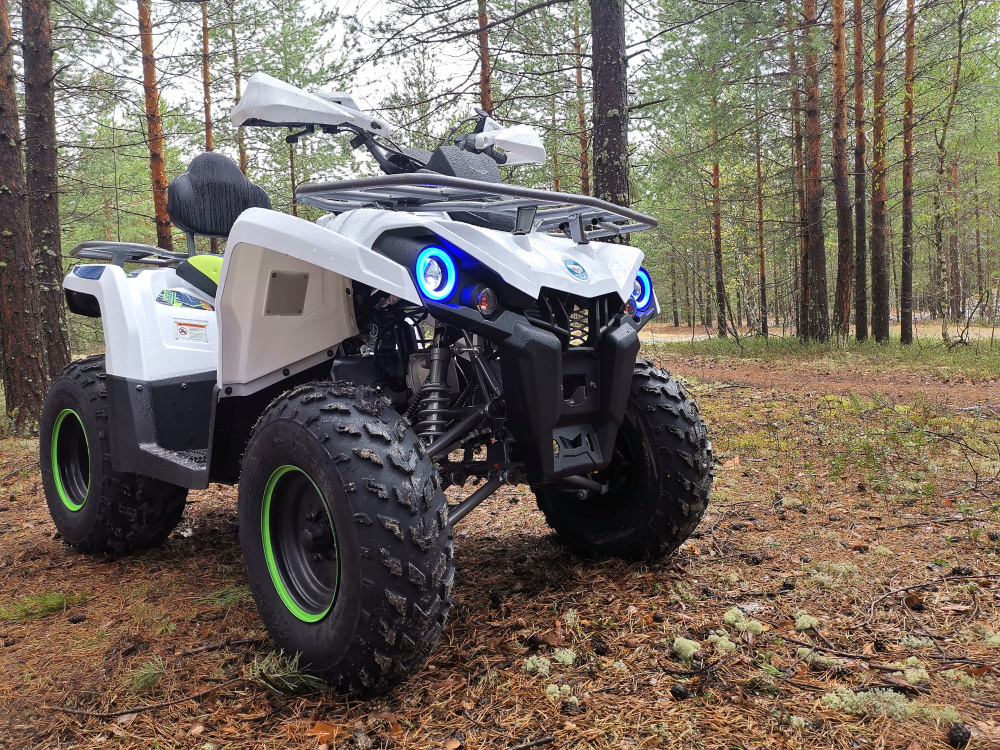 Квадроцикл PROMAX RENEGADE 280 (2025) в Салавате