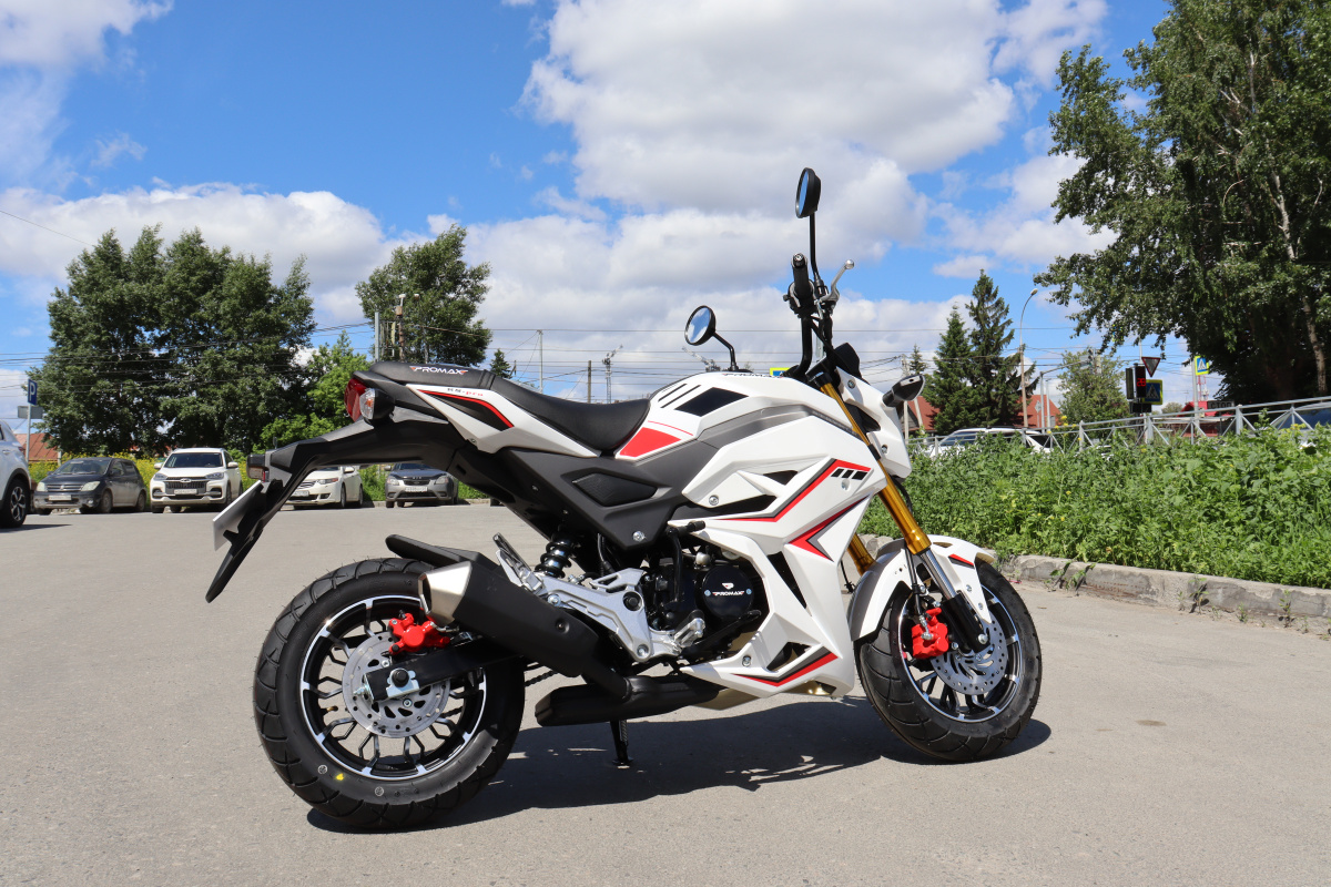 Мотоцикл PROMAX STRYKER 200(49) 2.0 в Салавате