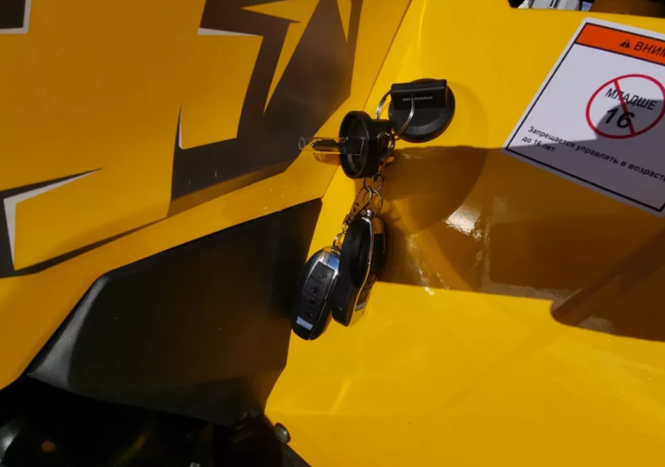 Квадроцикл MOTOLAND (МОТОЛЕНД) VOX200 WILD TRACK X PRO (баланс. вал) в Салавате