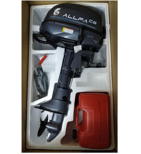 Лодочный мотор ALLFA CG F6 в Салавате