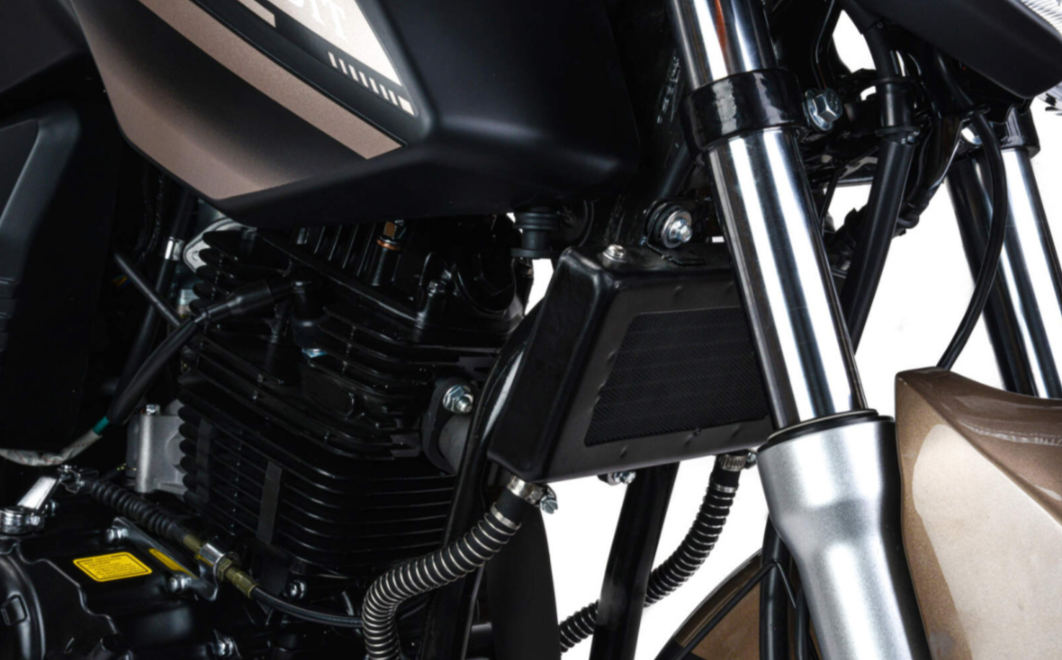 Мотоцикл MOTOLAND (МОТОЛЕНД) 300 BANDIT в Салавате