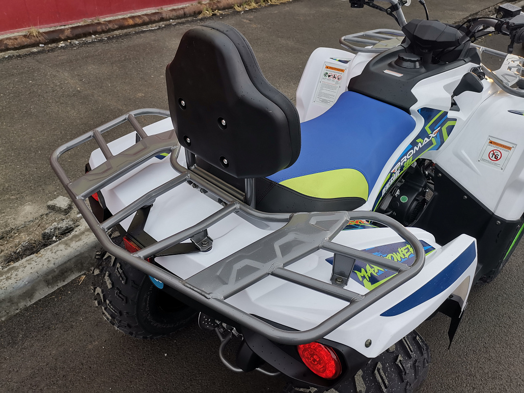 Квадроцикл PROMAX RENEGADE 280 LUX (2025) в Салавате