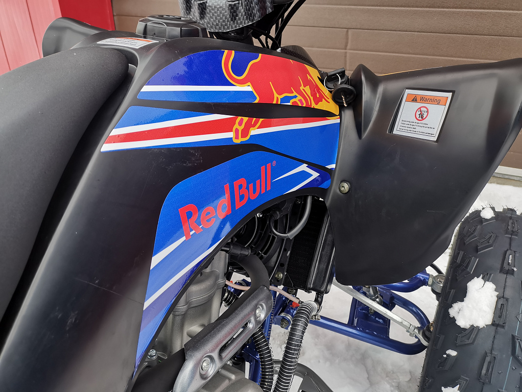 Квадроцикл PROMAX RAPTOR 300 NEW RedBull в Салавате