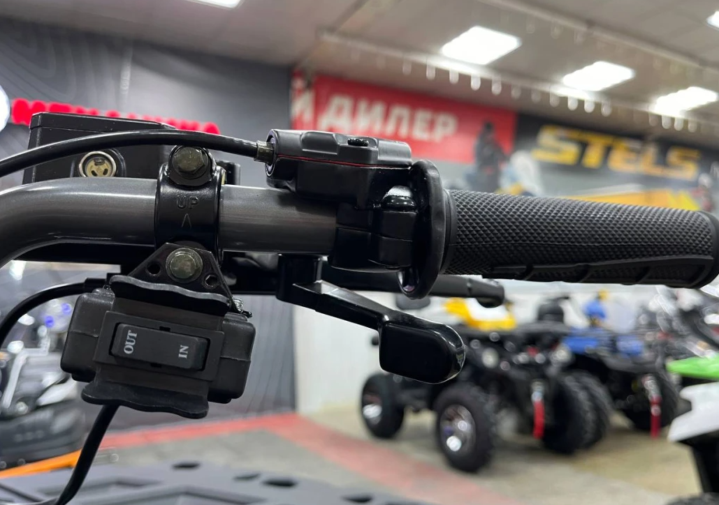 Квадроцикл PROMAX RENEGADE 300 LONG WINCH PRO (2025) в Салавате