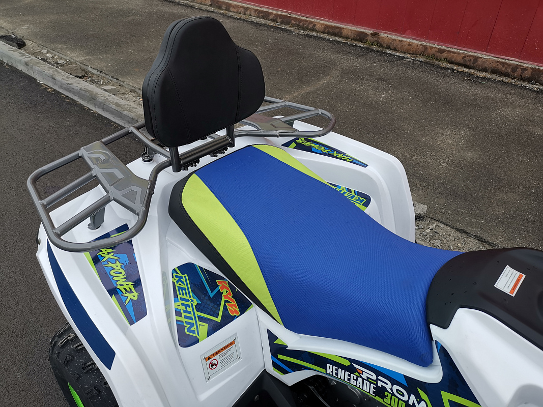 Квадроцикл PROMAX RENEGADE 280 LUX (2025) в Салавате