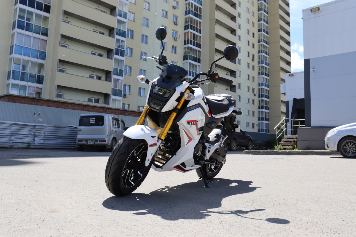 Мотоцикл PROMAX STRYKER 200(49) 2.0 в Салавате