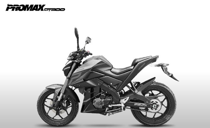 Мотоцикл PROMAX MT300 в Салавате