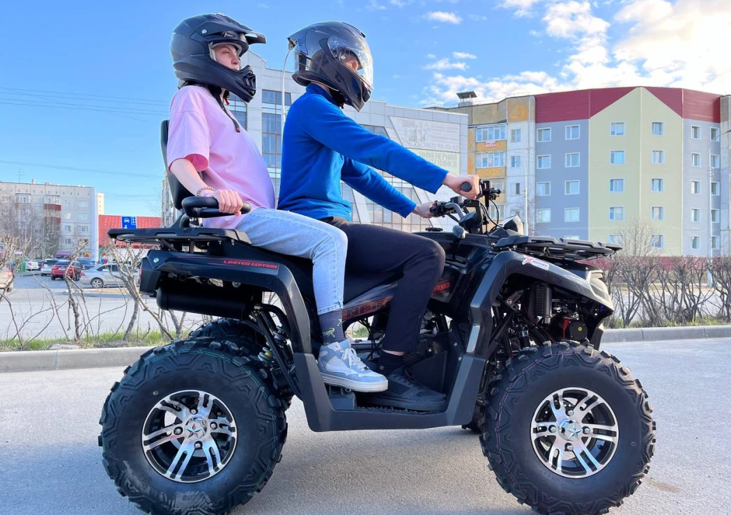 Квадроцикл PROMAX RENEGADE 300 LONG WINCH PRO (2025) в Салавате