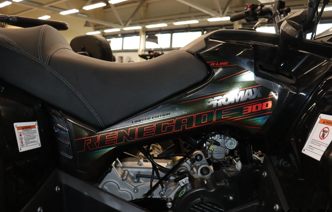 Квадроцикл PROMAX RENEGADE 300 LONG WINCH PRO (2025) в Салавате