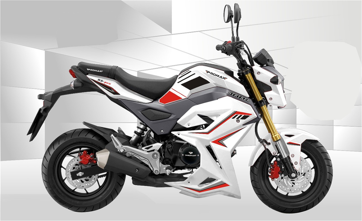 Мотоцикл PROMAX STRYKER 200(49) 2.0 в Салавате