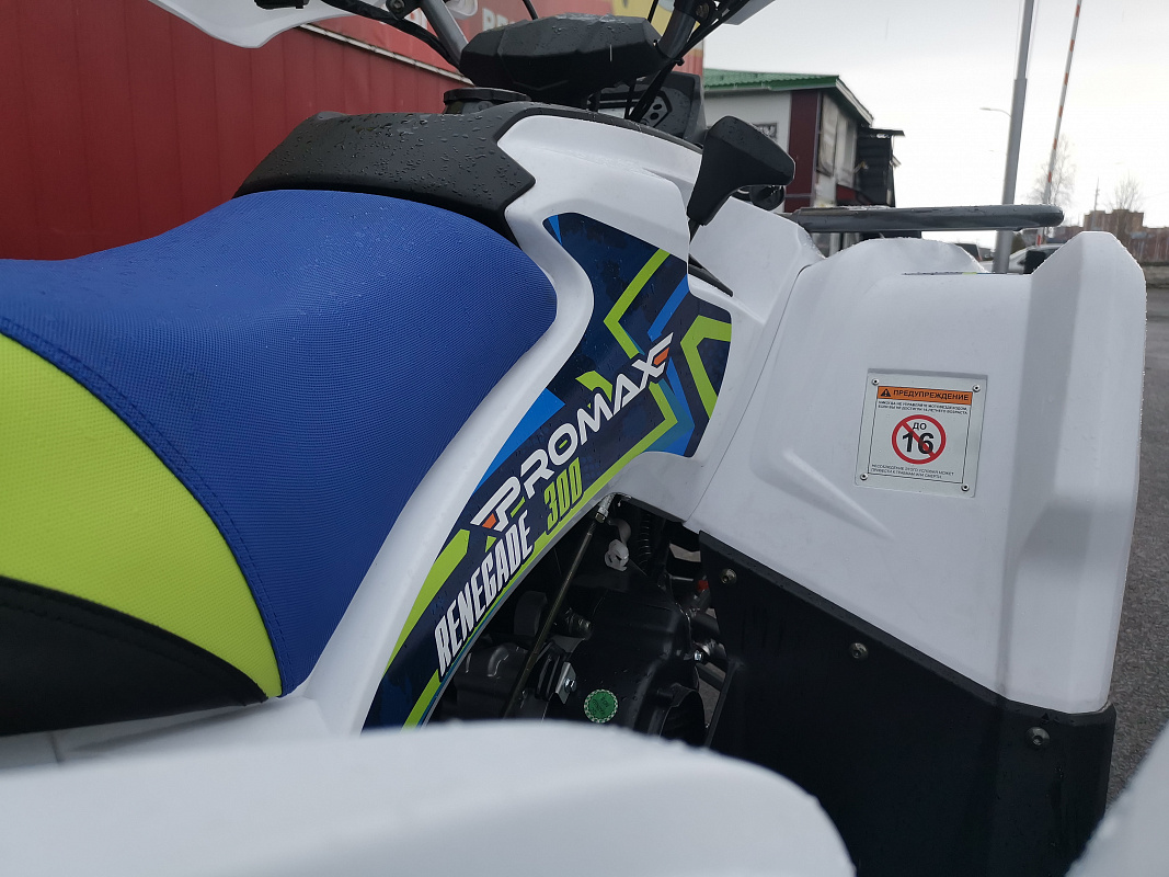 Квадроцикл PROMAX RENEGADE 280 LUX (2025) в Салавате
