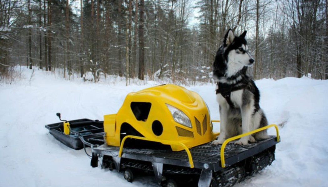 Мотобуксировщик LEBEDEV MOTORS ВОЛКОДАВ POWER V13 в Салавате