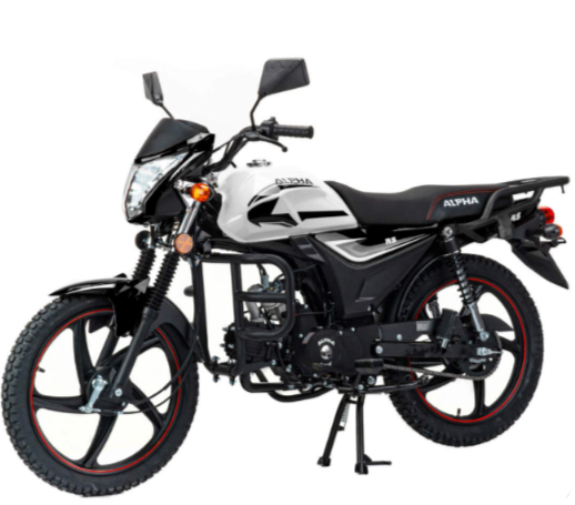 Мопед MOTOLAND (МОТОЛЕНД) Альфа RS 11 (LM48-B) в Салавате