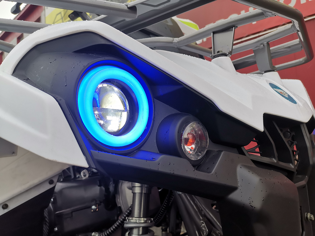 Квадроцикл PROMAX RENEGADE 280 LUX (2025) в Салавате