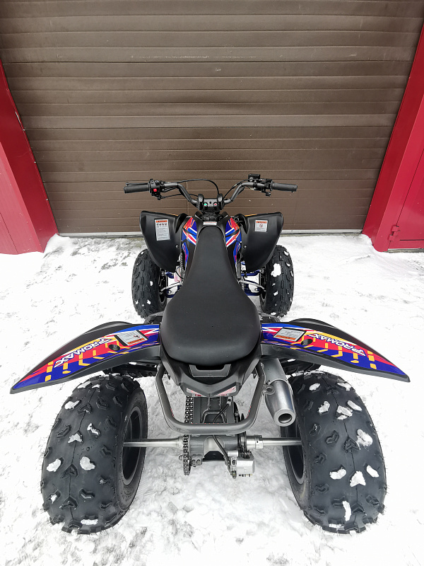 Квадроцикл PROMAX RAPTOR 300 NEW RedBull в Салавате