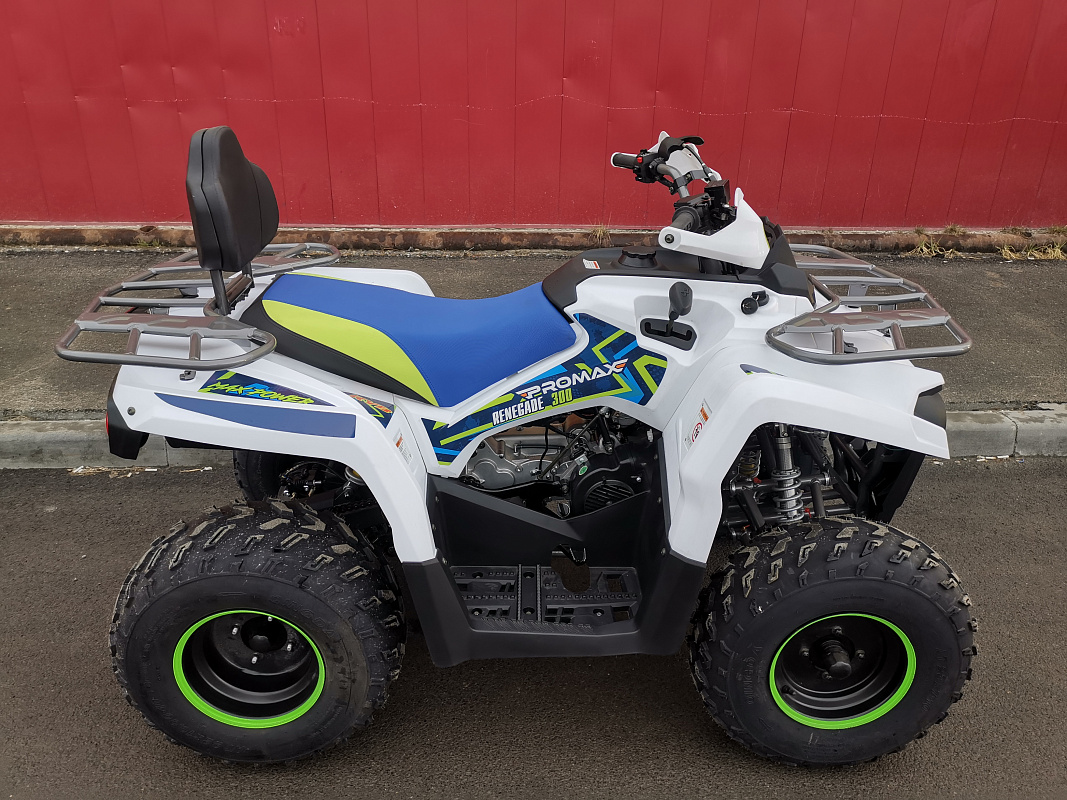 Квадроцикл PROMAX RENEGADE 280 LUX (2025) в Салавате