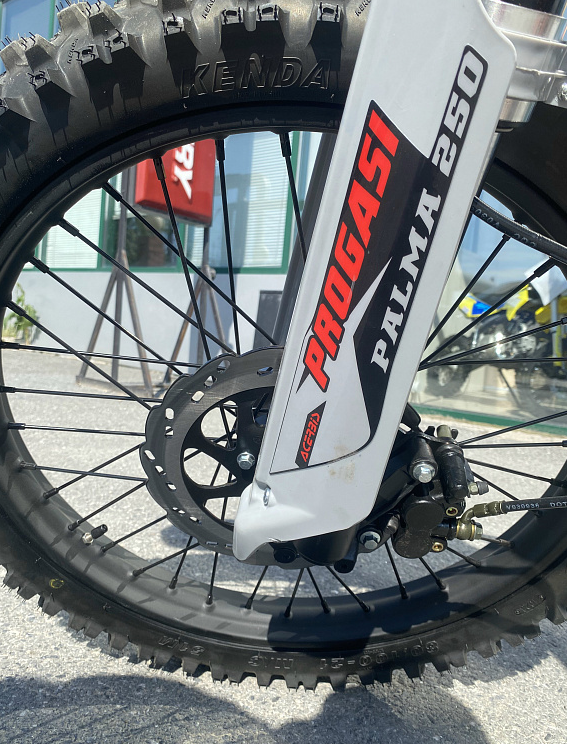 Мотоцикл Progasi PALMA 300 NEW (CB300F) в Салавате