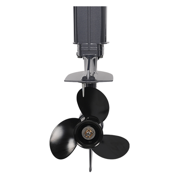 Лодочный мотор ALLFA CG T9.9(20) MAX Limit в Салавате