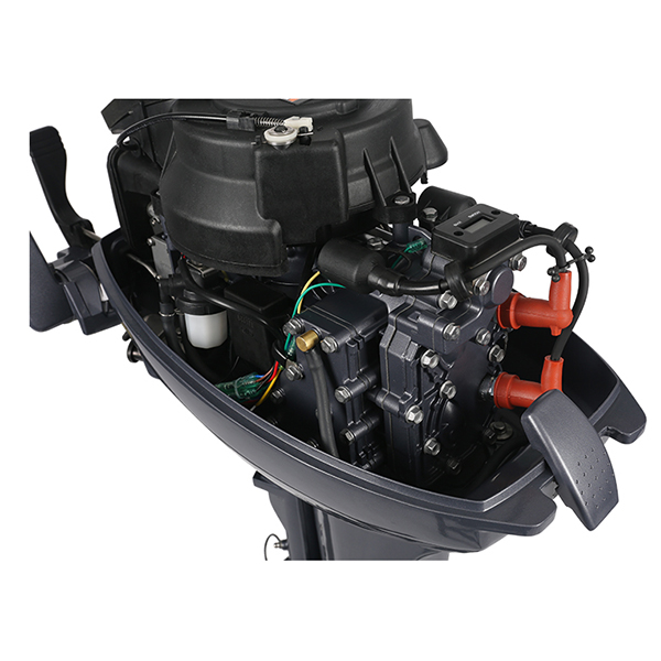 ЛОДОЧНЫЙ МОТОР ALLFA CG Т9,9 Limit в Салавате