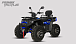 Квадроцикл PROMAX TAURUS 300 MAX-PRO LONG в Салавате