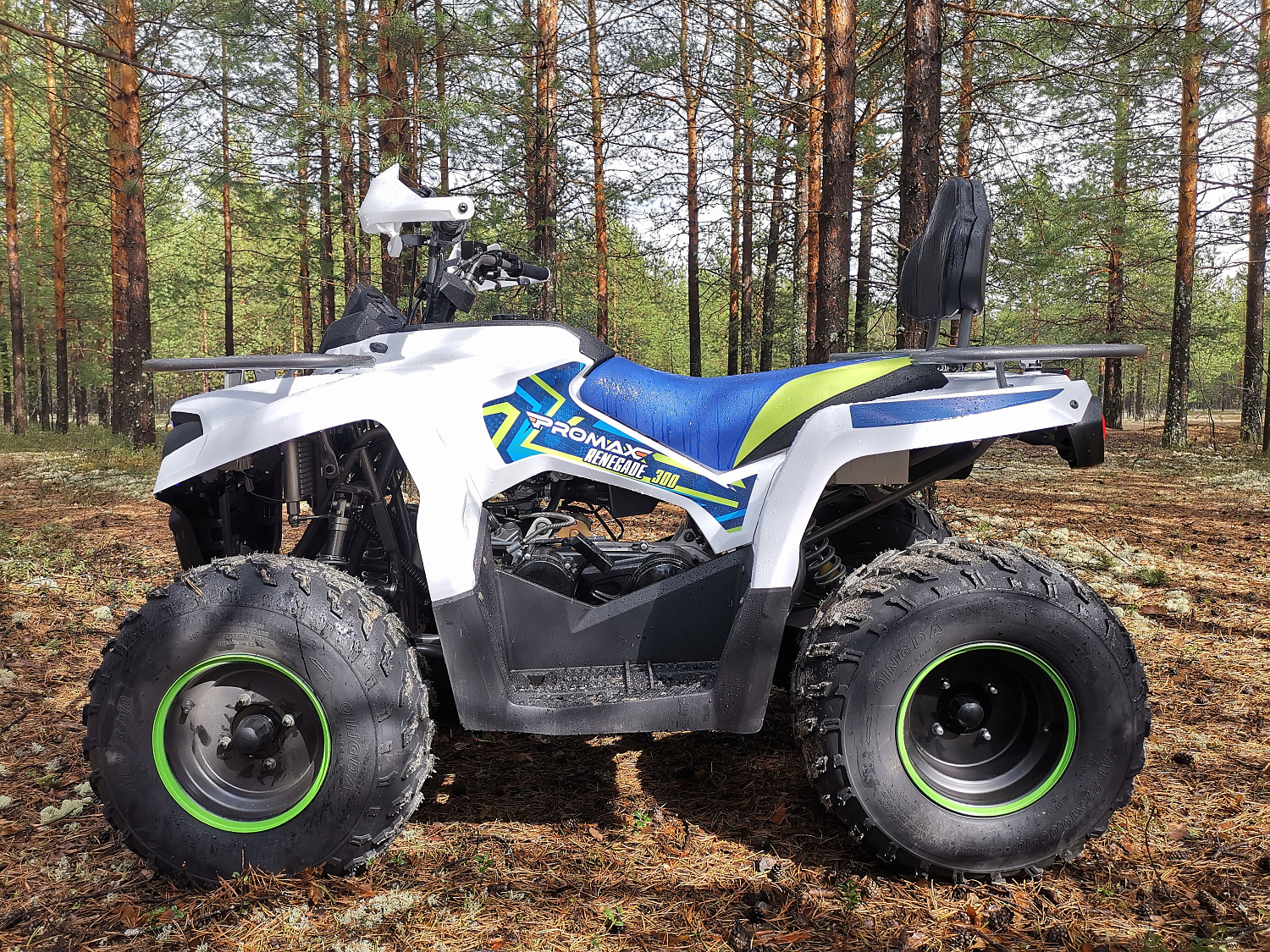 Квадроцикл PROMAX RENEGADE 280 (2025) в Салавате
