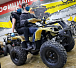 Квадроцикл PROMAX ATV 250 (2025) в Салавате