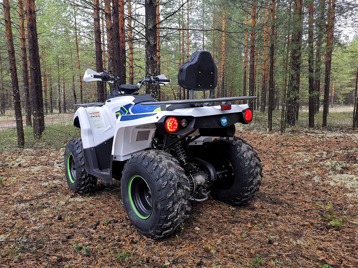 Квадроцикл PROMAX RENEGADE 280 (2025) в Салавате