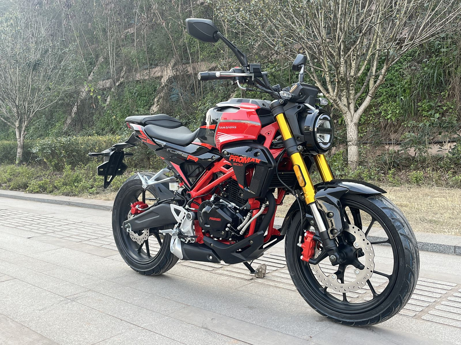 Мотоцикл PROMAX CB300RL (4V, 6G) в Салавате