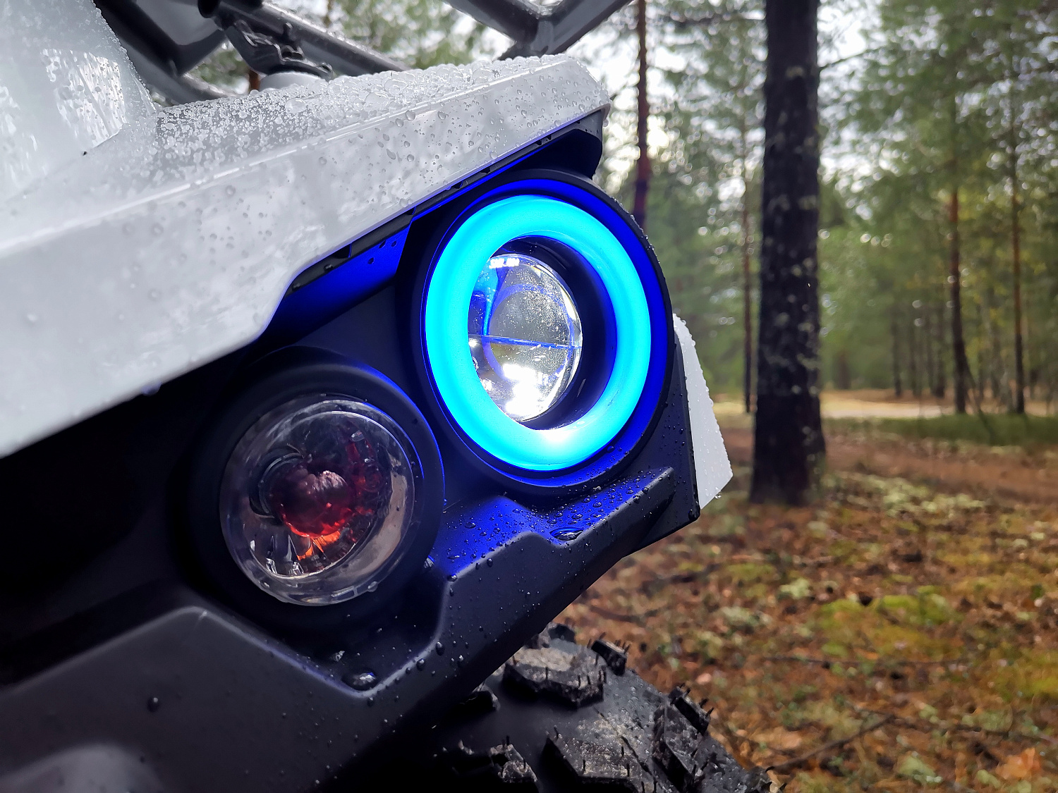 Квадроцикл PROMAX RENEGADE 280 (2025) в Салавате