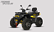 Квадроцикл PROMAX TAURUS 300 MAX-PRO LONG в Салавате
